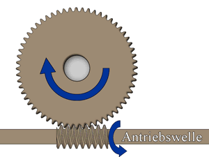 Schematische Darstellung eines Schneckengetriebes